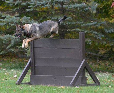 khaleesi ipo2 hurdle